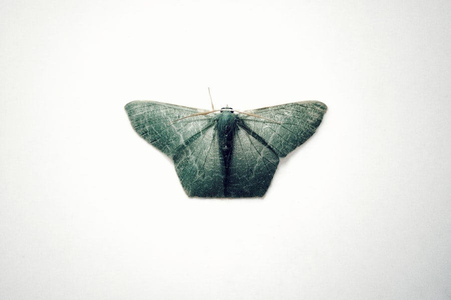 Photo AI transformation 
